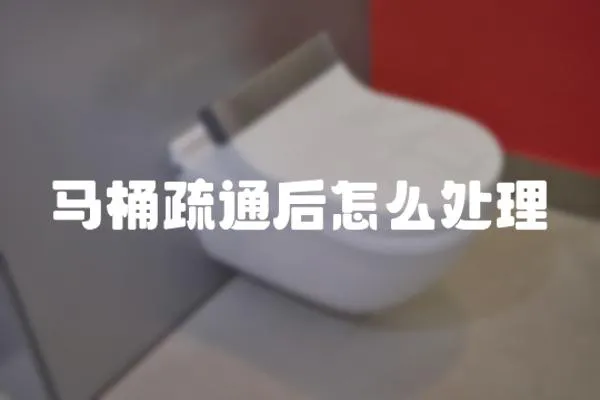 馬桶疏通后怎么處理