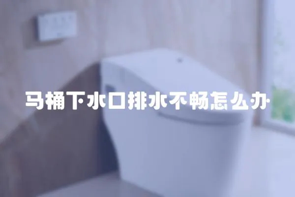 馬桶下水口排水不暢怎么辦