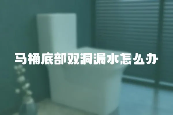 馬桶底部雙洞漏水怎么辦