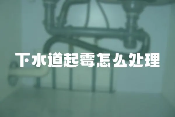下水道起霉怎么處理