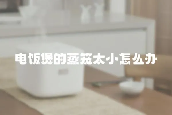 電飯煲的蒸籠太小怎么辦