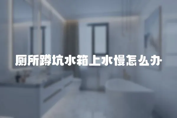 廁所蹲坑水箱上水慢怎么辦