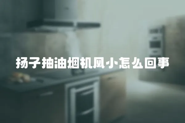 揚子抽油煙機風小怎么回事