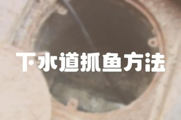 下水道抓魚(yú)方法