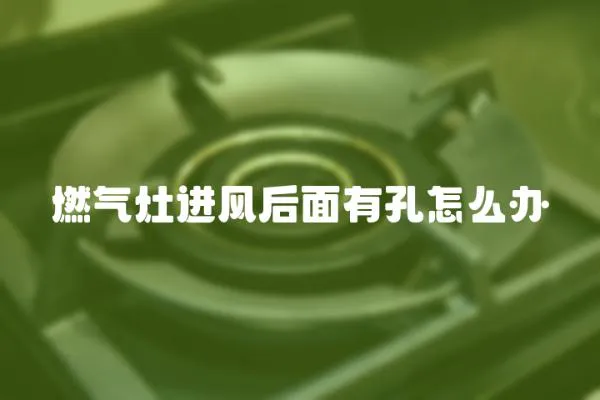 燃?xì)庠钸M風(fēng)后面有孔怎么辦