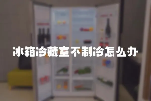 冰箱冷藏室不制冷怎么辦