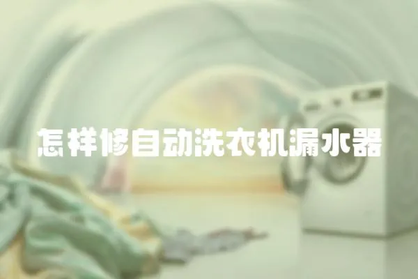 怎樣修自動洗衣機漏水器