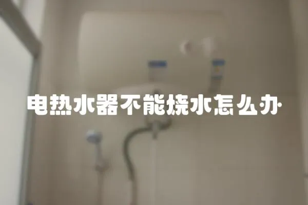 電熱水器不能燒水怎么辦
