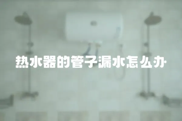 熱水器的管子漏水怎么辦