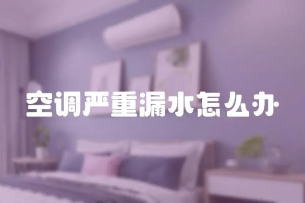 空調(diào)嚴重漏水怎么辦