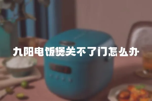 九陽(yáng)電飯煲關(guān)不了門怎么辦