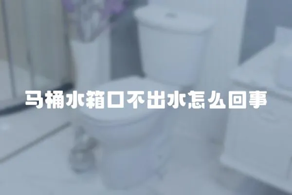 馬桶水箱口不出水怎么回事