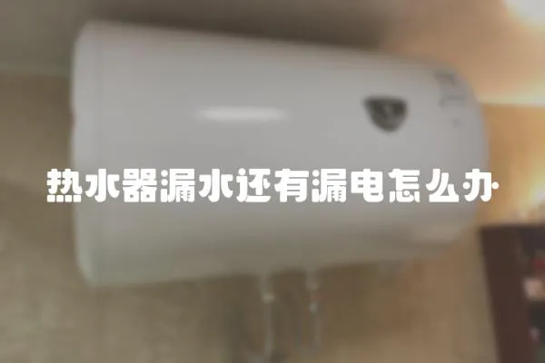 熱水器漏水還有漏電怎么辦