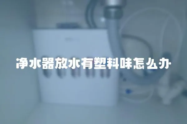 凈水器放水有塑料味怎么辦