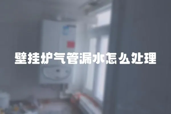 壁掛爐氣管漏水怎么處理