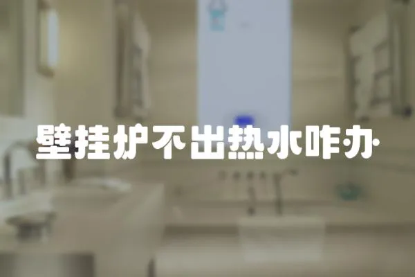 壁掛爐不出熱水咋辦