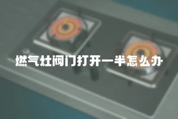 燃?xì)庠铋y門打開一半怎么辦