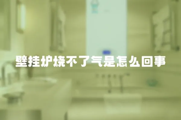 壁掛爐燒不了氣是怎么回事