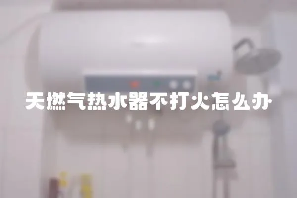 天燃?xì)鉄崴鞑淮蚧鹪趺崔k