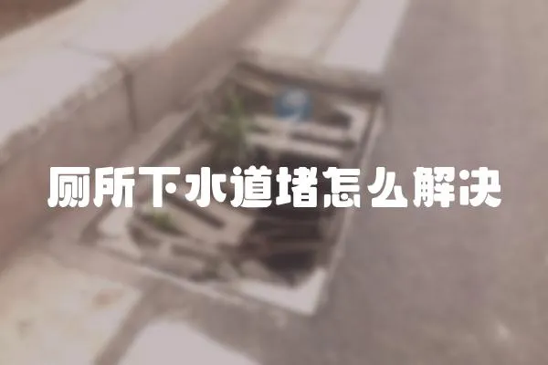 廁所下水道堵怎么解決