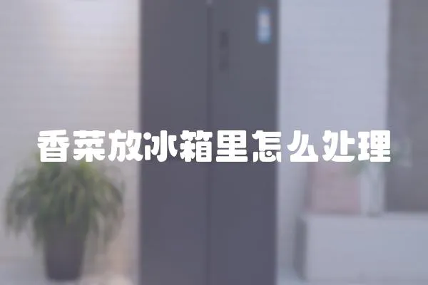 香菜放冰箱里怎么處理