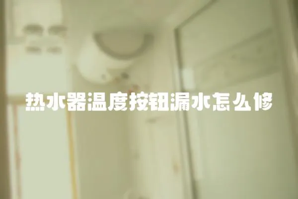 熱水器溫度按鈕漏水怎么修