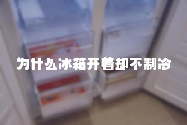 為什么冰箱開(kāi)著卻不制冷