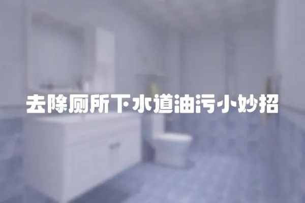 去除廁所下水道油污小妙招