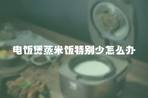 電飯煲蒸米飯?zhí)貏e少怎么辦