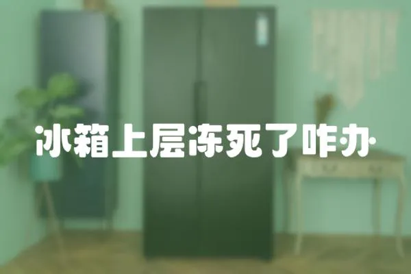 冰箱上層凍死了咋辦