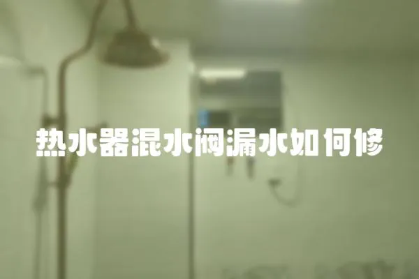 熱水器混水閥漏水如何修