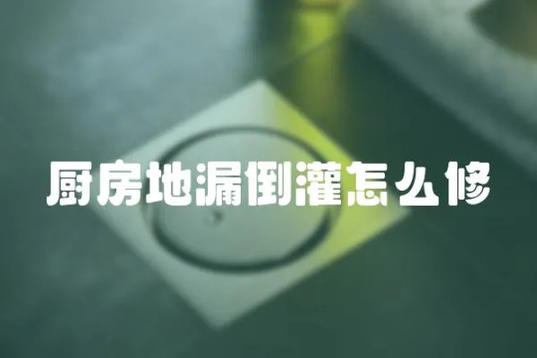 廚房地漏倒灌怎么修