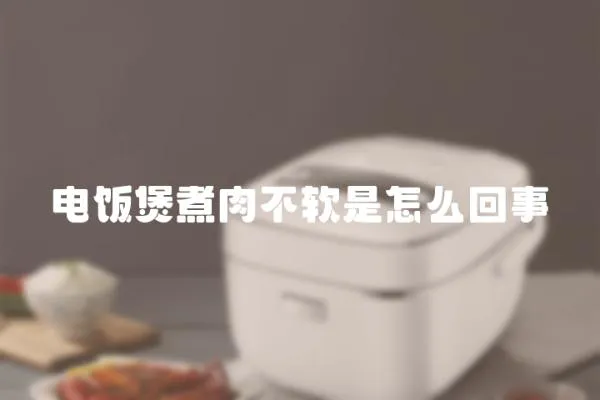 电饭煲煮肉不软是怎么回事