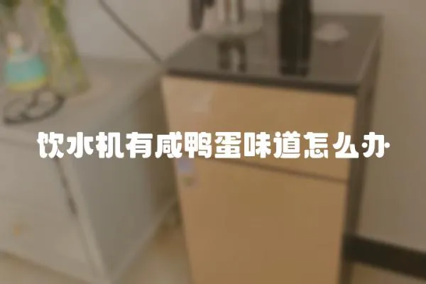 飲水機有咸鴨蛋味道怎么辦