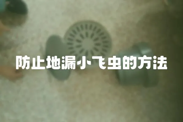 防止地漏小飛蟲的方法