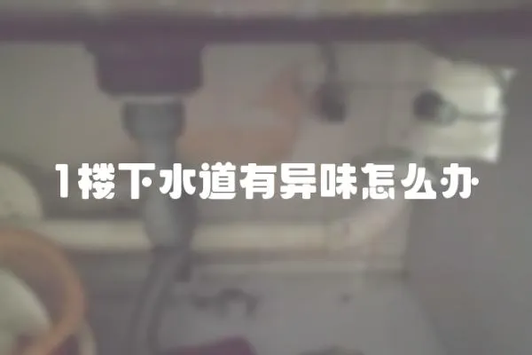 1樓下水道有異味怎么辦