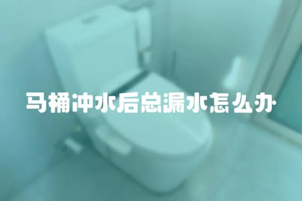 馬桶沖水后總漏水怎么辦