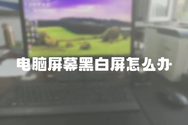 電腦屏幕黑白屏怎么辦