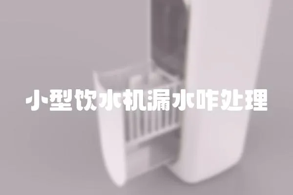 小型飲水機漏水咋處理