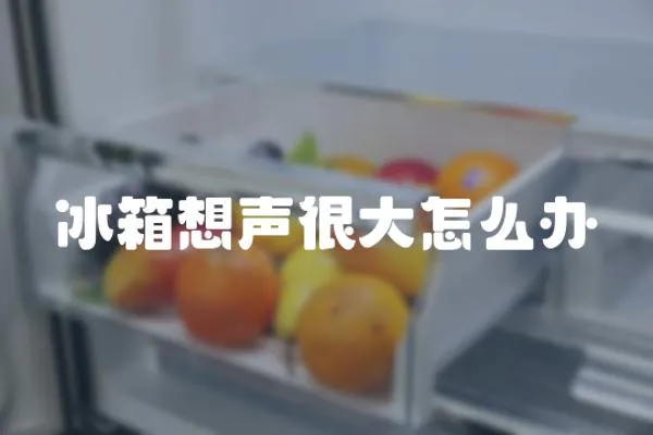 冰箱想聲很大怎么辦