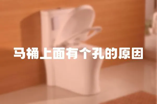 馬桶上面有個孔的原因