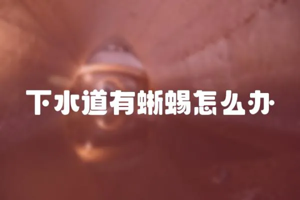 下水道有蜥蜴怎么辦