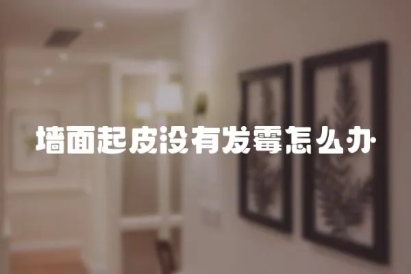 墻面起皮沒有發(fā)霉怎么辦