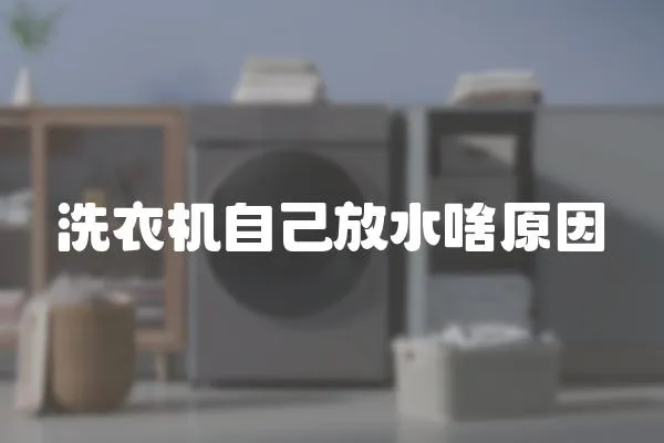 洗衣機自己放水啥原因