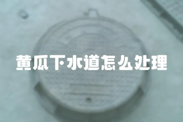 黃瓜下水道怎么處理