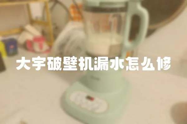 大宇破壁機漏水怎么修