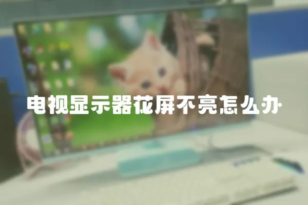 電視顯示器花屏不亮怎么辦