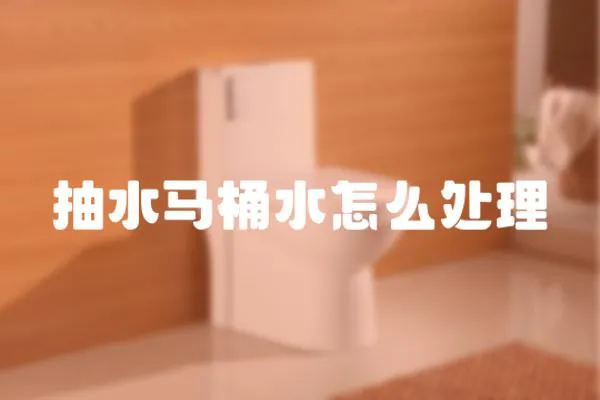抽水馬桶水怎么處理