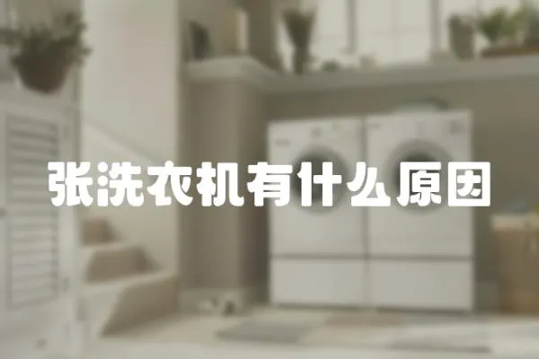 張洗衣機有什么原因