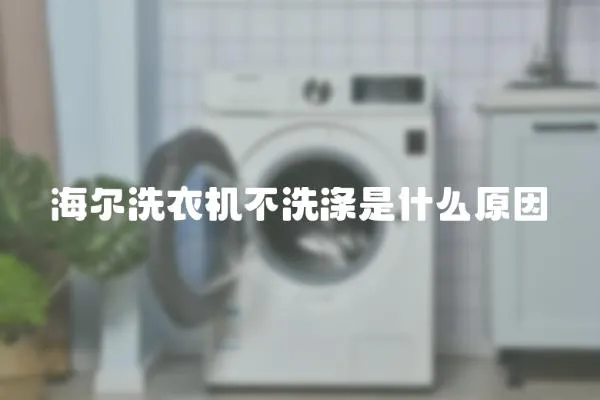 海爾洗衣機不洗滌是什么原因